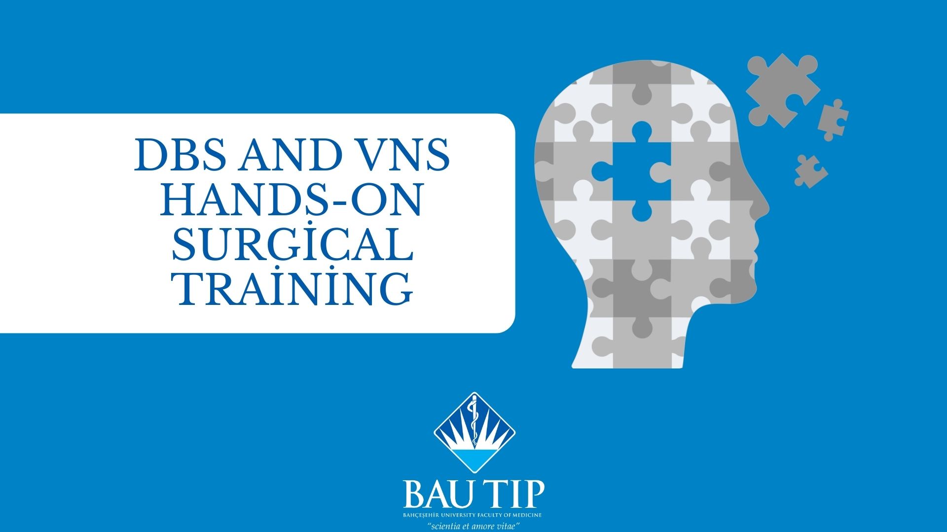 Hands-on Training Course in DBS and VNS Surgery Hosted by the Faculty of Medicine at the Rhoton Laboratory